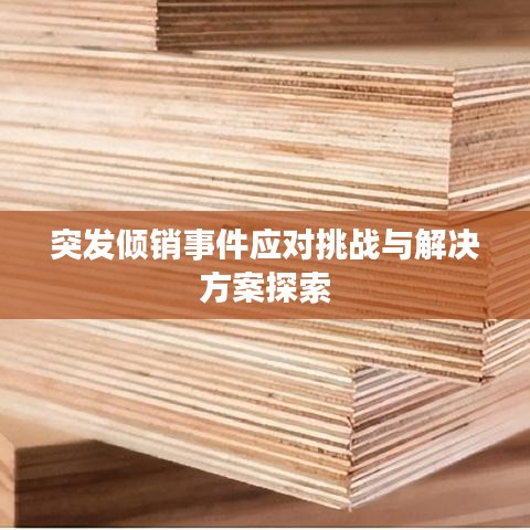 突发倾销事件应对挑战与解决方案探索
