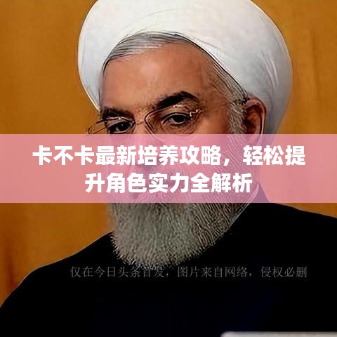 卡不卡最新培养攻略,轻松提升角色实力全解析