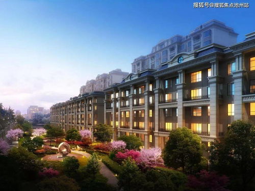 索爱官方下载,全面说明解析&amp;进阶款_v2.313