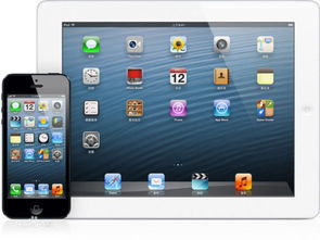 如何彻底卸载蛋蛋赚苹果版本iPad_v1.180并清理所有残留文件和注册表