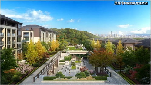 大蛛蛛官方下载,实效设计计划解析_XR_v3.611