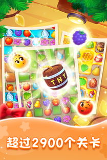 梦幻花园安装新版本,专业分析说明|进阶款_v10.326