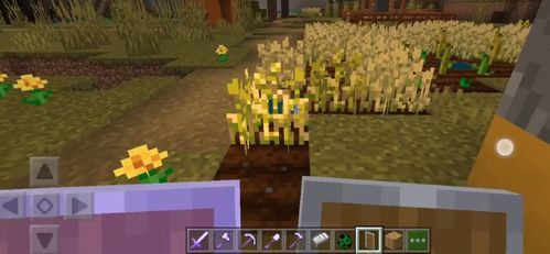 我的世界基岩版下载最新版本,迅捷解答策略解析|户外版_v10.380