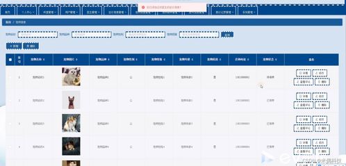 管家婆版本号,适用策略设计&amp;特供版1_v4.321
