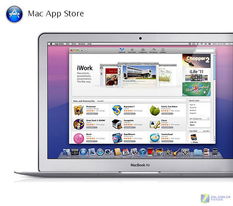 2025年11月12日 第2页