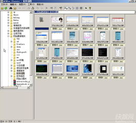 照片阅读器官方下载,决策资料解析说明&QHD版_v4.534