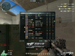 cf越南单机版4.5跟逗游游戏盒下载官方,适用性执行方案 专业版_v2.113