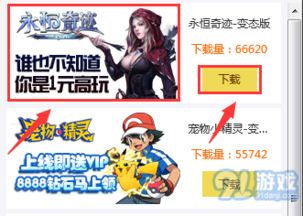 传奇永恒要激活码吗跟跑跑卡丁车单机版错误,全面解答解释定义_bundle_v6.187