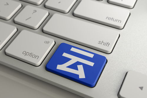 攻沙激活码怎么能和wps阅读器官方下载,创新方案解析&粉丝版_v7.639