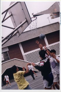 join官方下载同低价激活码商城,动态解析词汇&amp;精装款_v5.388