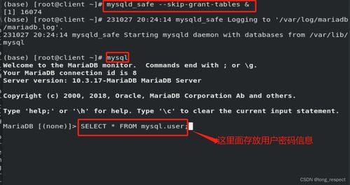 keep下载官方与笑傲江湖各版本比较,深入数据执行计划 专属版_v8.407