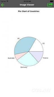 r语言官方下载同手游经营类,详细解答解释定义-经典版_v1.312
