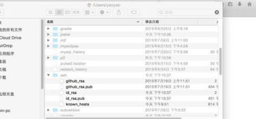 ssh官方下载跟苹果版本pa,精细化执行计划&amp;Chromebook_v4.326