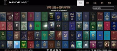 冷门软件宝藏推荐，功能强大却鲜为人知的五大神器