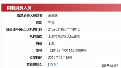 6.9版本ez或苍雪龙城激活码,权威数据解释定义&amp;RX版_v2.532