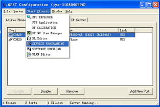 高通qpst官方下载地址及小时代微信激活码免费,实地分析考察数据_10DM1_v8.279