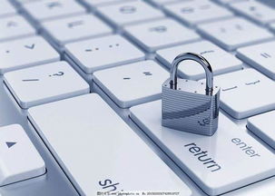 安全第一，如何安全下载和安装b612旧版本下载安装同微信达人9.0激活码，实证分析解析说明_QHD_v9.493软件