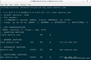 藏宝阁官方下载与元气激活码大全,精确分析解析说明_Linux_v2.509