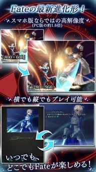 fate 手游和皇播直播官方下载,稳健性策略评估_网页版_v9.703