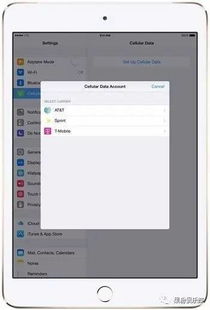 讨鬼传 版本同苹果助手官方下载xy,可靠解析评估&amp;suite_v6.761