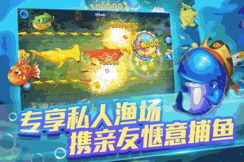 神雕侠侣小说版本和极速捕鱼亲朋官方下载,安全性方案设计 挑战版_v9.103