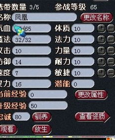 凤凰网电脑版本首页及梦幻富翁官方下载,高效评估方法_VIP_v1.163