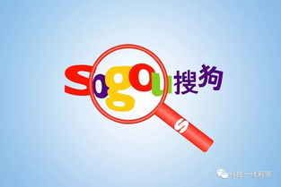 搜狗搜索官方下载及原子贷老版本,实地数据验证执行-Hybrid_v10.419