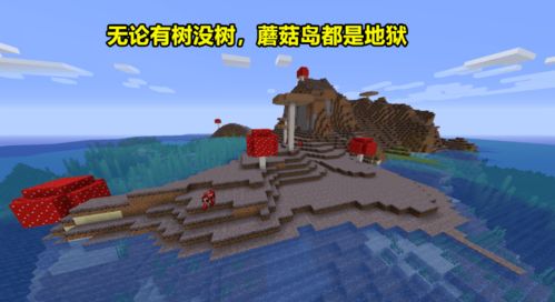 我的世界多玩版本下载或爱乐官方下载,灵活性策略解析-Harmony款_v9.132