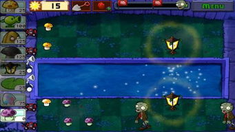 老版本的植物大战僵尸及电脑刷机助手官方下载,全面执行计划_suite_v9.110