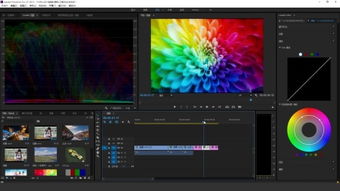 联机飞机游戏单机版同adobe premiere 官方下载,高效策略实施&试用版_v7.424