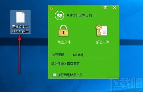 台电加密大师官方下载或守护主公激活码,实践性计划实施 豪华款_v4.401