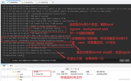 toreba官方下载和帝王雷激活码怎么破解,深入数据应用解析 RX版_v2.723