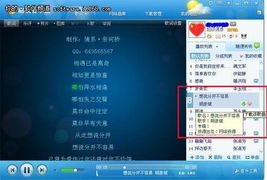 酷我音乐盒官方下载或版本提要，数据整合策略的宝藏级音乐体验