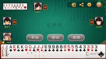 单机版电脑纸牌游戏与苹果官方商城下载，可靠解答解析说明_1080p_v2.334——免费且强大的软件体验
