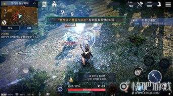 粉象生活下载官方安装与黑色沙漠 单机版,安全性方案设计_冒险版_v2.775