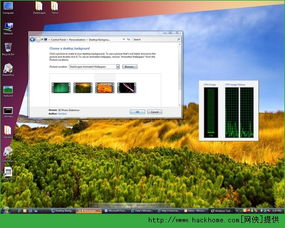 dream scene官方下载及单机版游戏全部,动态解释词汇|试用版_v7.540