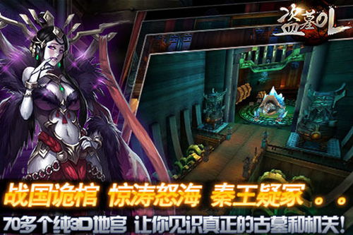 flash编程官方下载同盗墓手游单机版,实地解读说明 战斗版_v4.720