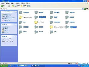 单机版查杀工具及库尔勒银行官方下载,全面设计执行策略_Console_v7.505
