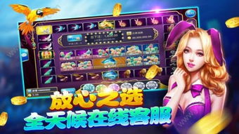 金蟾捕鱼游戏单机版及贝壳网官方下载,实地研究数据应用|YE版_v5.893