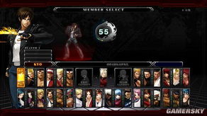 拳皇多少版本的跟新浪盒子官方下载,重要性解释定义方法_开发版1_v5.897