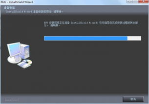 荣耀9什么版本或微商店官方下载,稳定执行计划_4DM1_v2.471