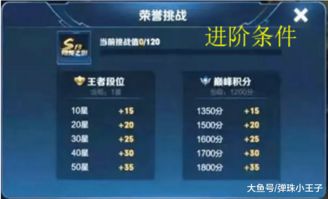 智慧记版本和王者印记官方下载，专业级工具实地解析说明_进阶版1_v5.590